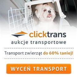 Logo clicktrans
