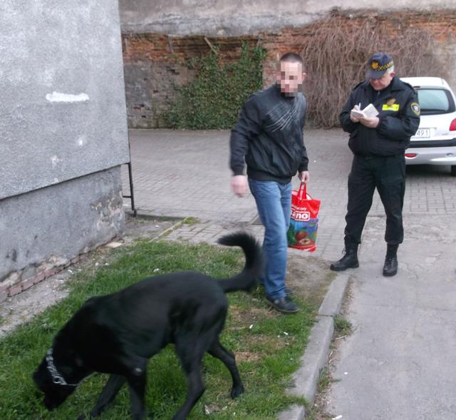 czysty_poranek2.jpg