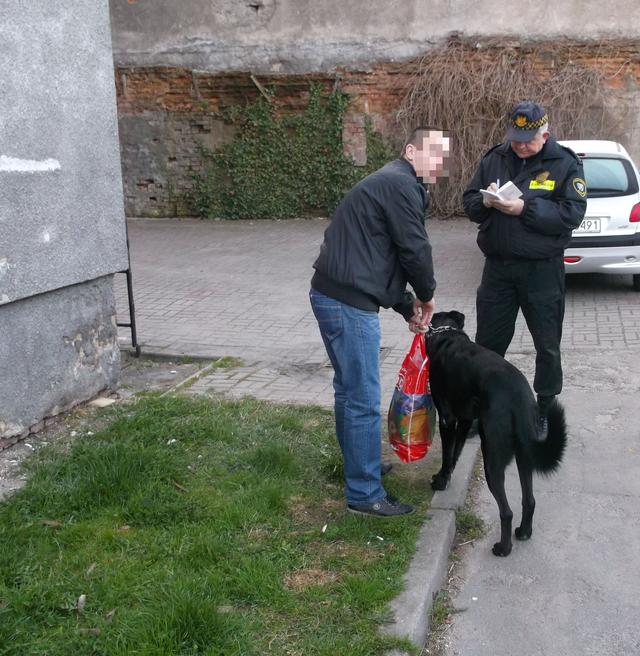 czysty_poranek3.jpg