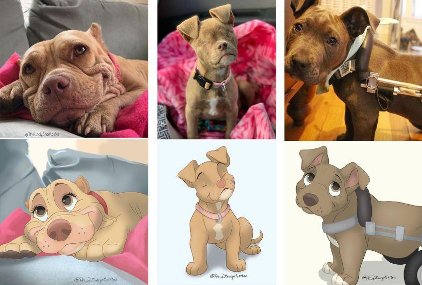 pet disneyfication