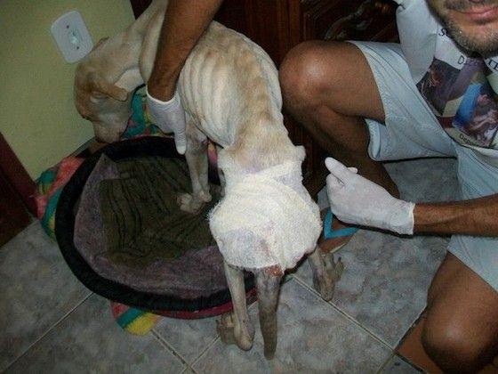 davi-in-bandages.jpg