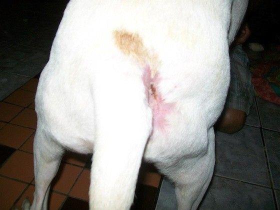 davi-wound-nov.jpg