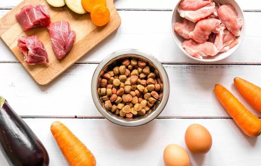 dieta eliminacyjna
