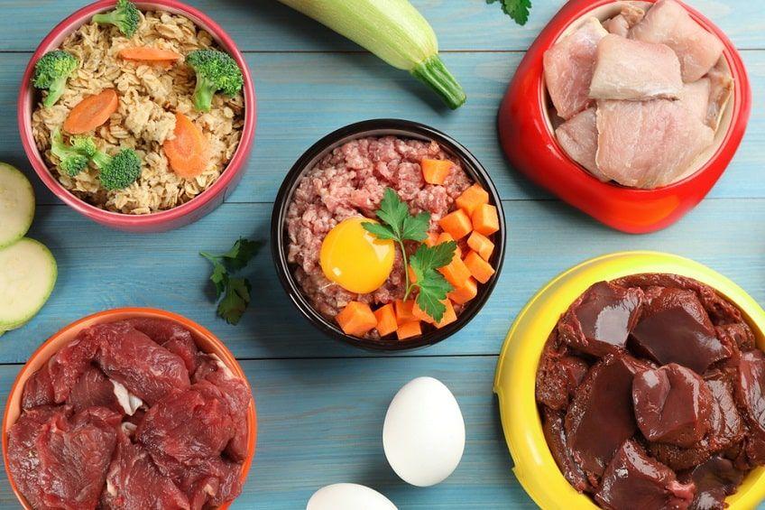dieta gotowana dla psa-min.jpg
