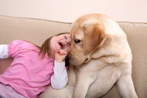 dogoterapia_145186717.jpg