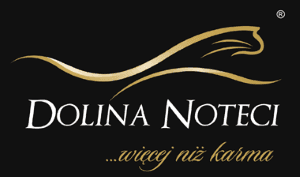 dolina noteci.png
