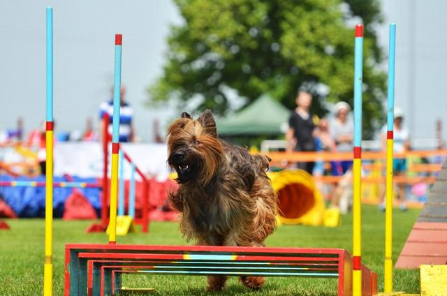 dsc_0686z_zps71ff0c0e.jpg