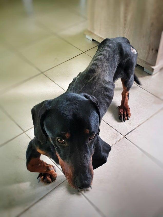 george 1