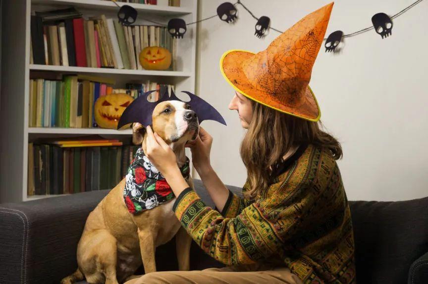 halloween z psem