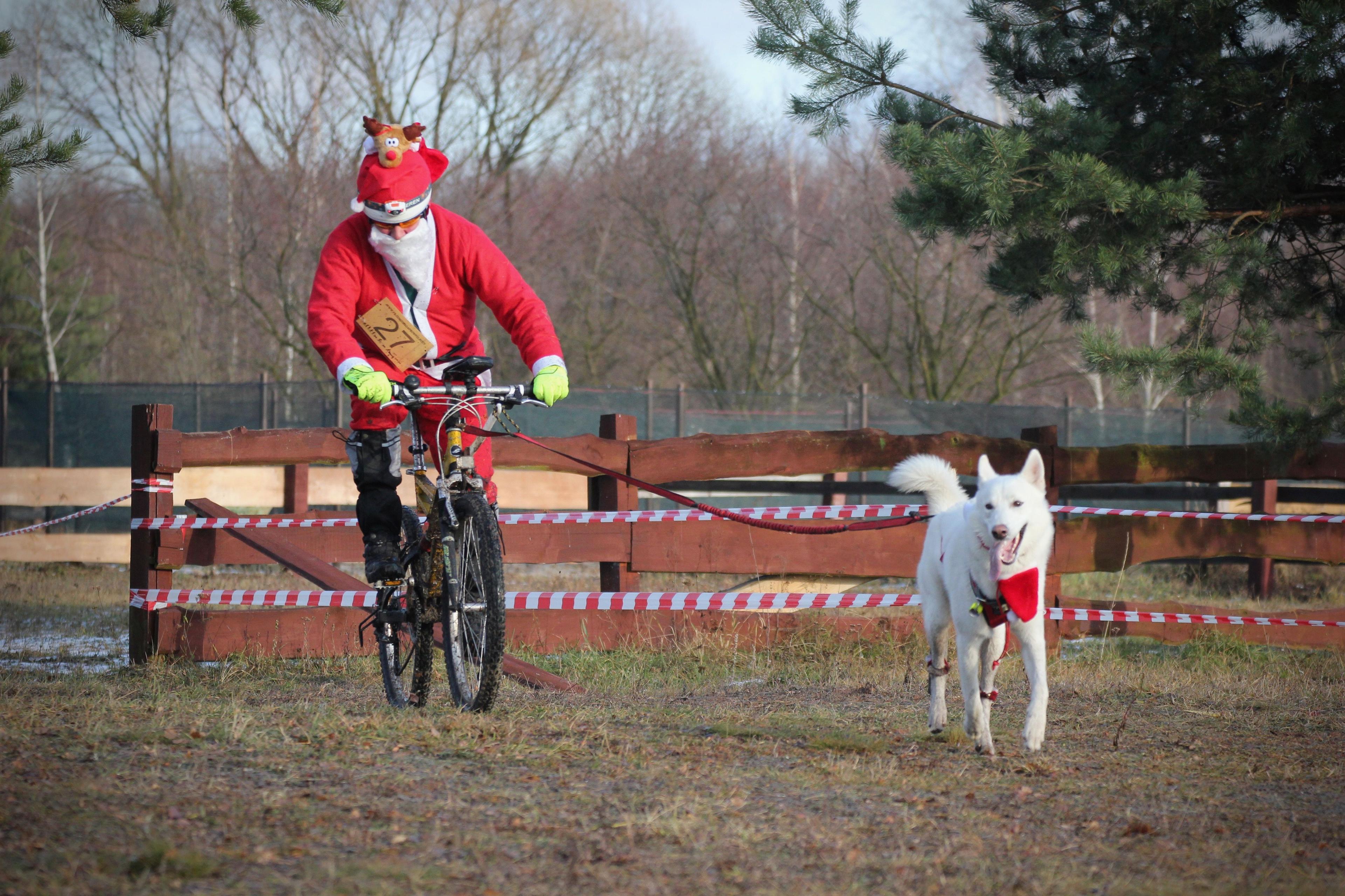 mikołaj na rowerze i pies