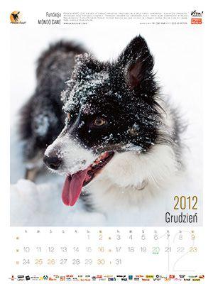 kalendar_13_.p02.jpg