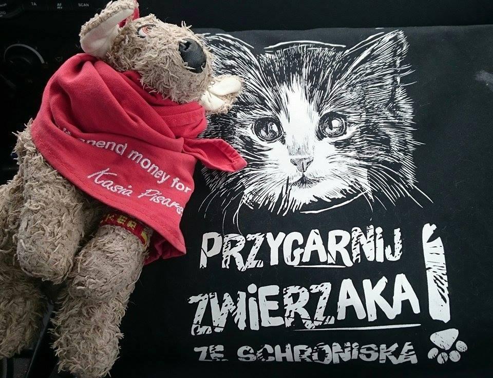 kasia_pisarska_logo_akcji.jpg