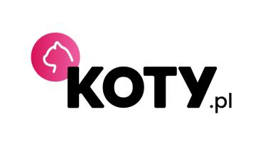 Koty.pl