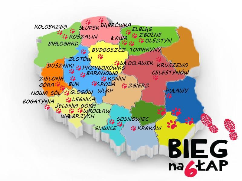 mapa_biegu_na_szesc_lap.jpg