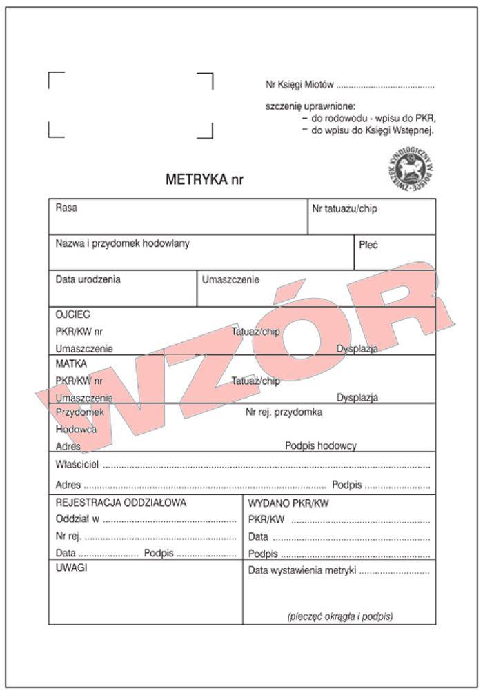 metryka dla psa
