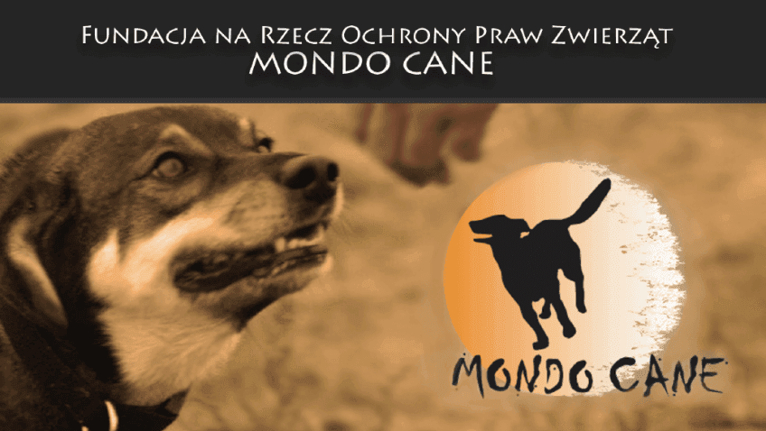 Fundacja Mondo Cane
