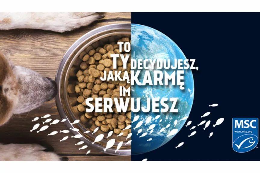 niebieski certyfikat MSC
