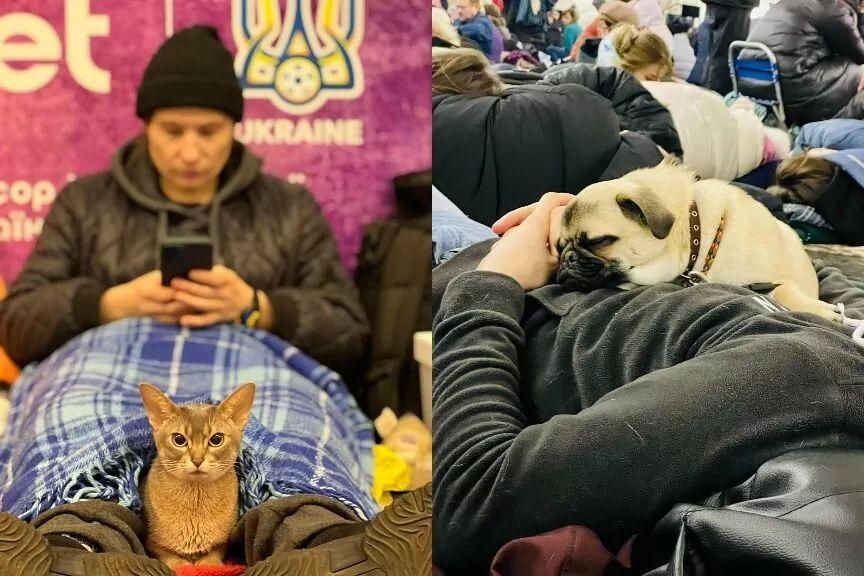 nie zapominają o zwierzętach