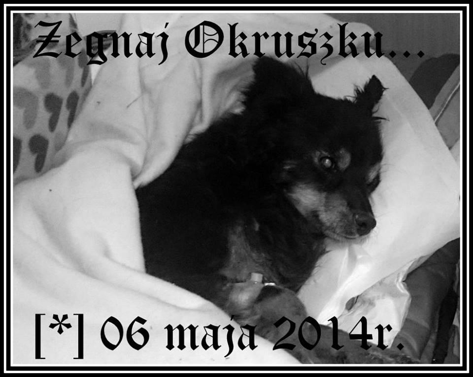 okruszek_za_teczowym_mostemn.jpg