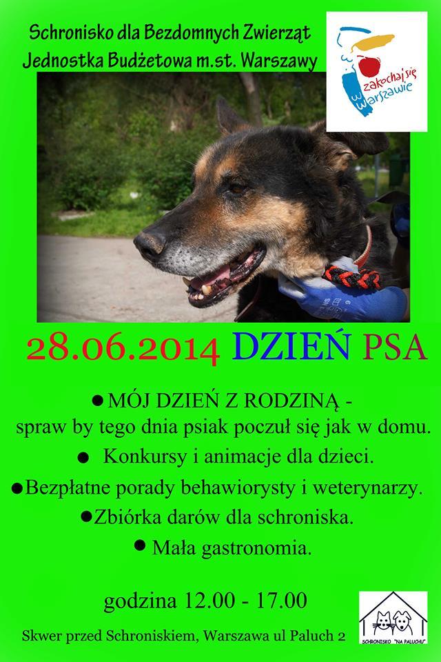 paluch_plakat.jpg