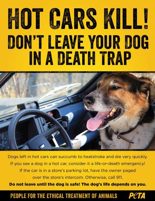 peta_500_2d00_hot_2d00_dogs.jpg