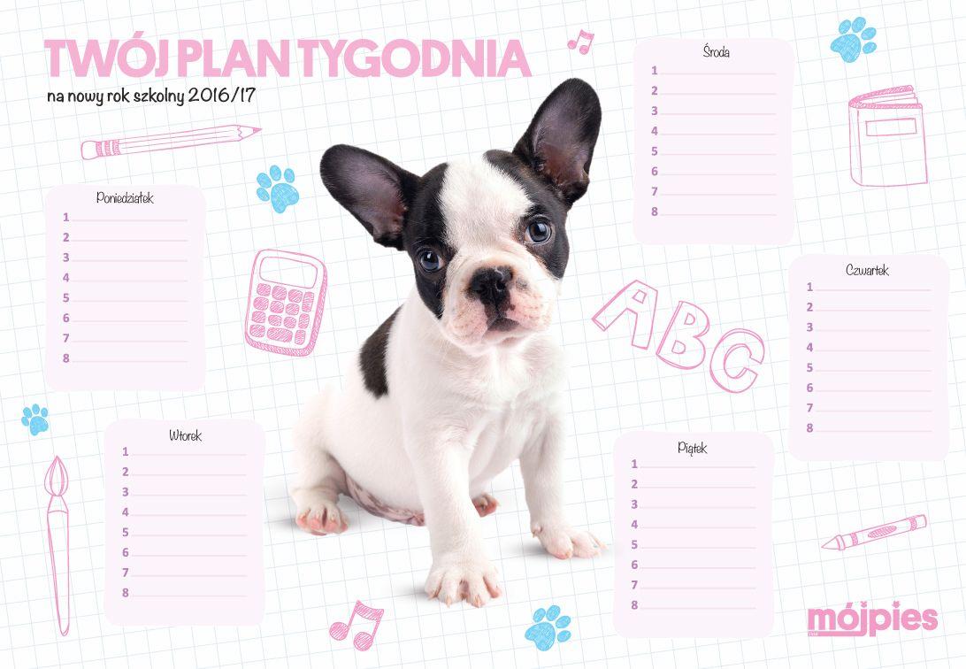 plan tygodnia
