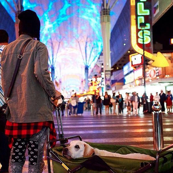 poh_las_vegas.jpg