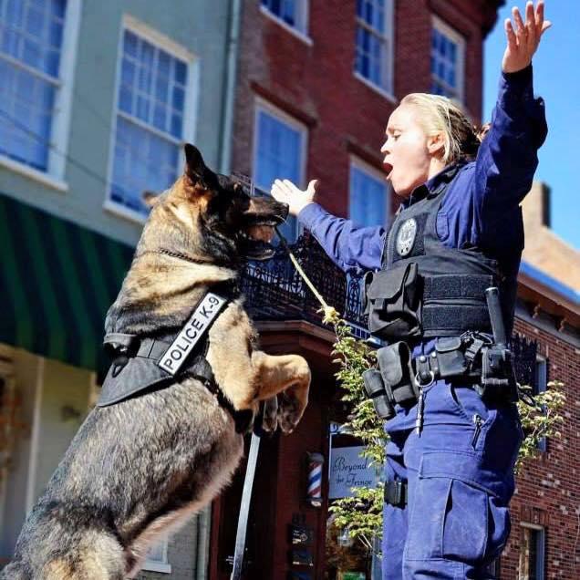 police_dog_02.jpg