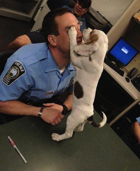puppy-and-police.jpg