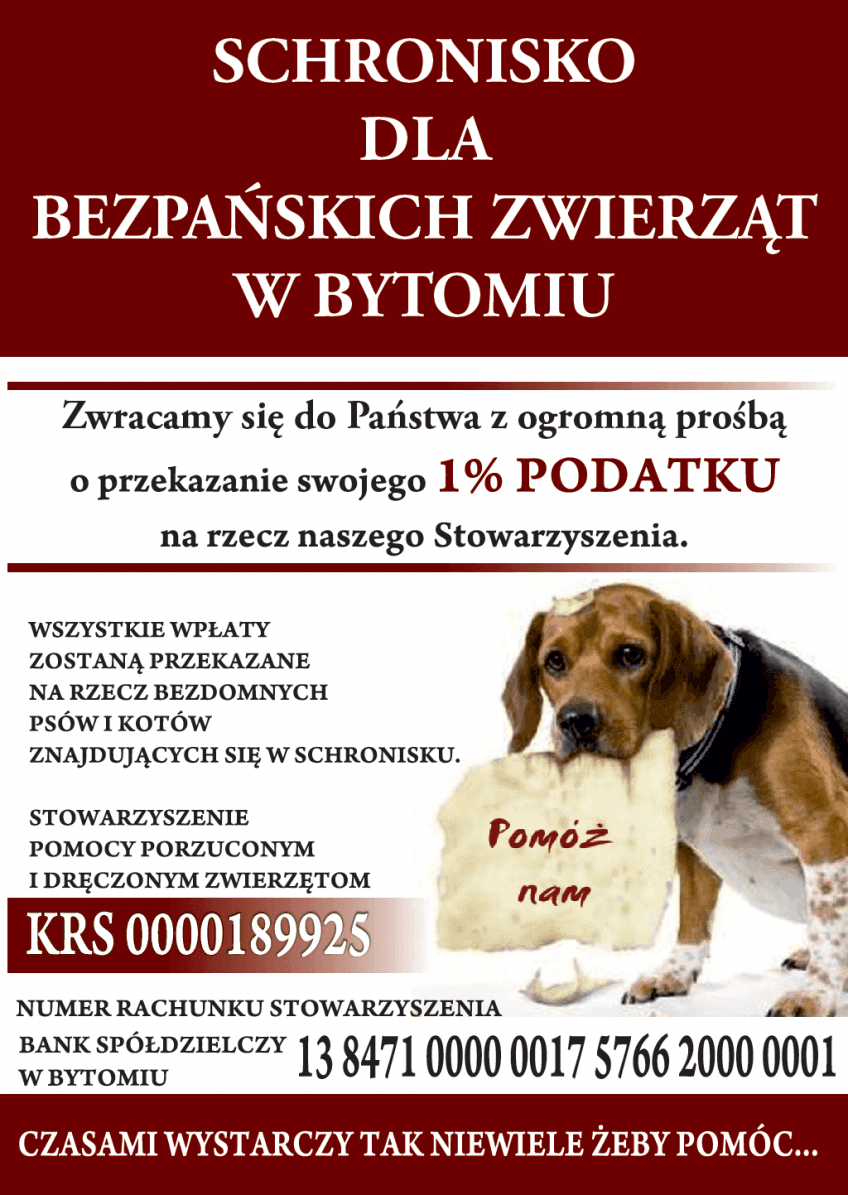 Schronisko w Bytomiu