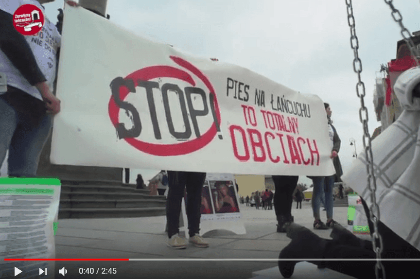 Film z akcji Zerwijmy łańcuchy
