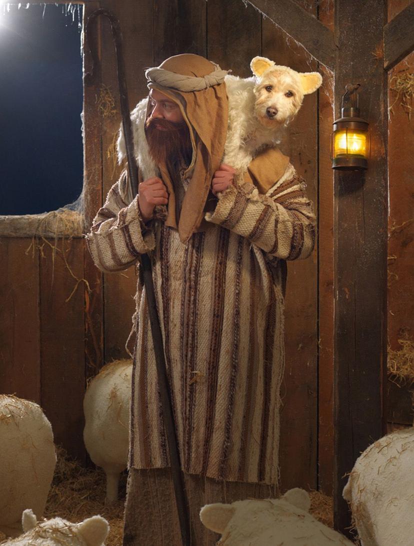sheep_dog_2010.jpg