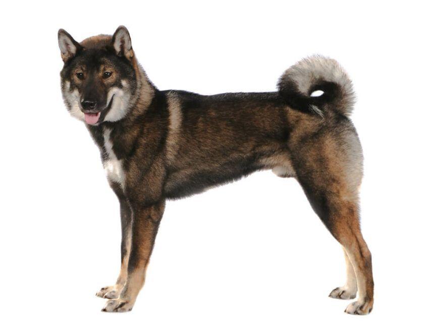 shikoku