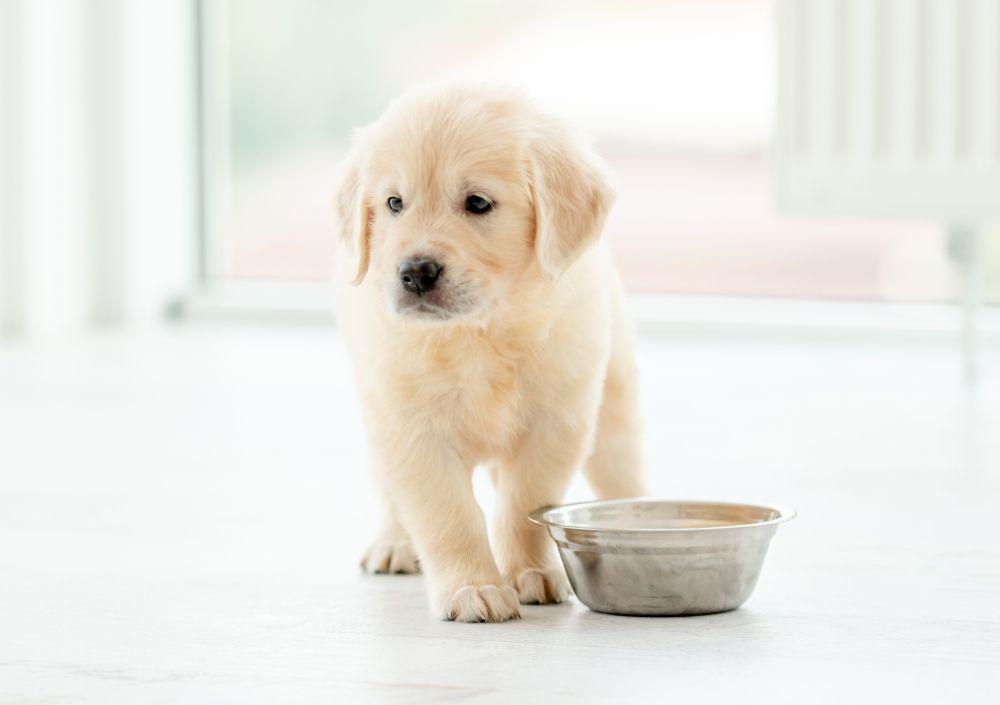 shutterstock_1578505936.jpg