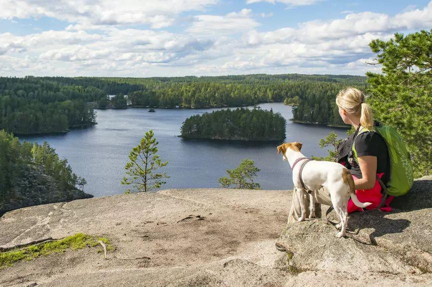 Finlandia, Pani z psem podziwiają widok