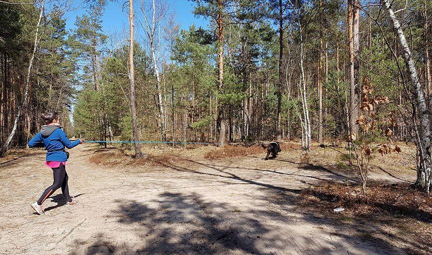 tropienie użytkowe
