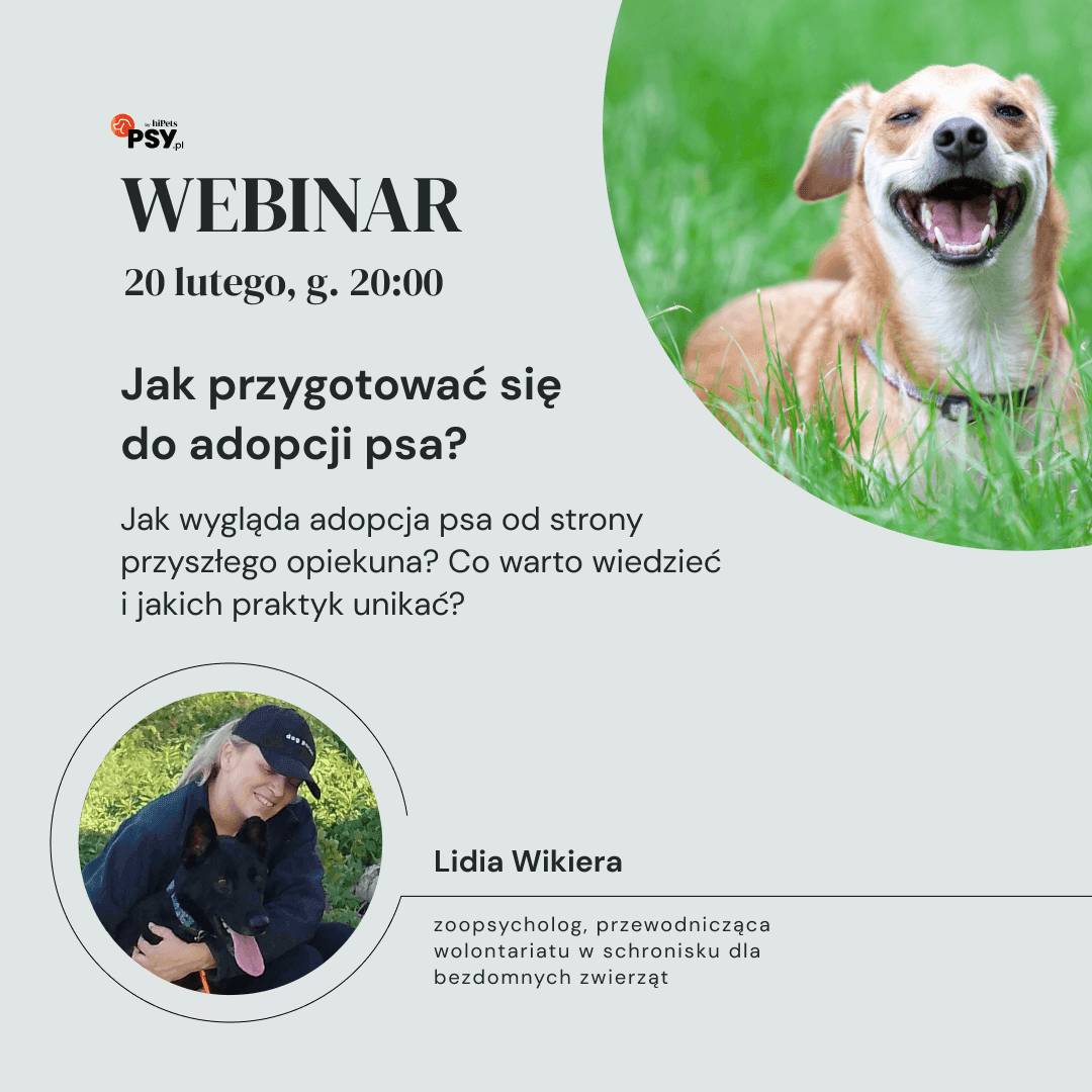 webinar_lidia_wikiera_1 (1).png