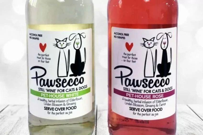 Pawsecoo dla psa i kota