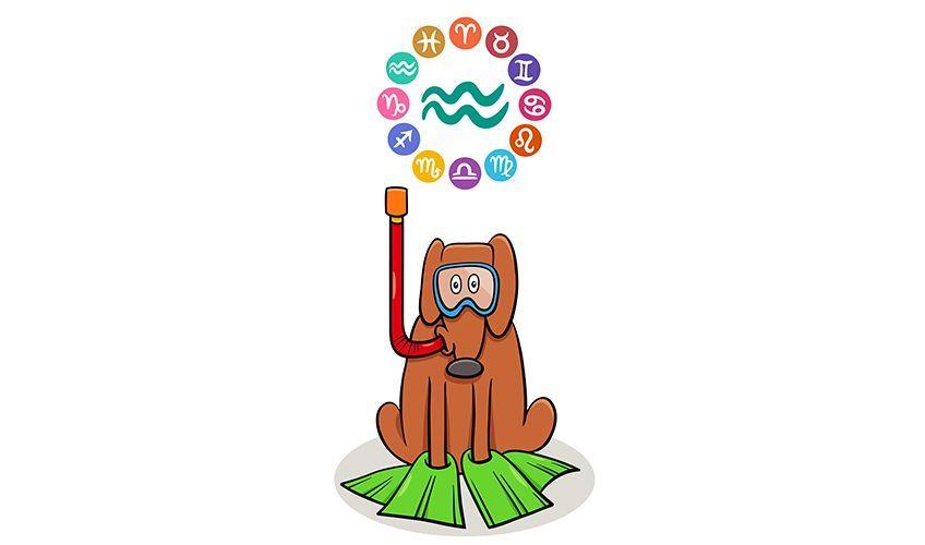 znak zodiaku