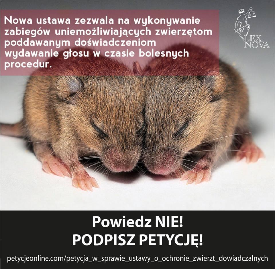 zwierzeta_doswiadczalne_plakat.jpg