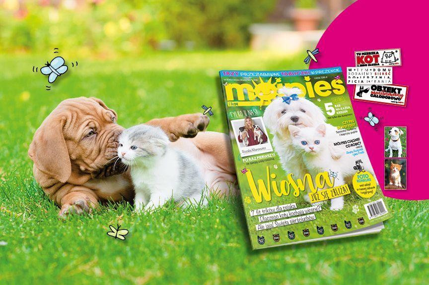 Magazyn Mój Pies i Kot i tabliczki