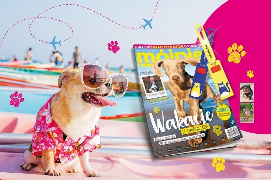 „Krzyżówka”, MPiK nr 6/2019, identyfikator do bagażu