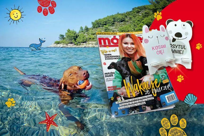 mpik, podstawka pod telefon