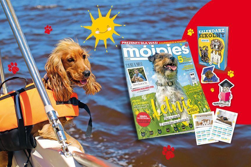 magazyn mój pies i kot ze szkolnymi kalendarzami i naklejkami