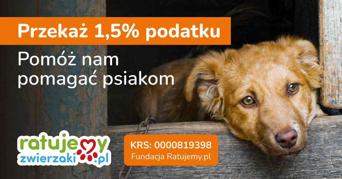 ratujemyzwierzaki.pl
