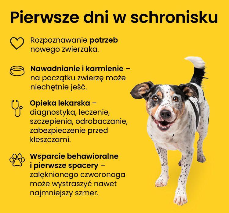 1774512574-original.jpg