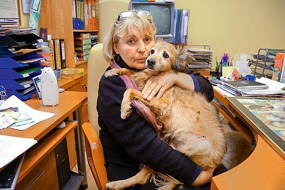 Wanda Dejnarowicz