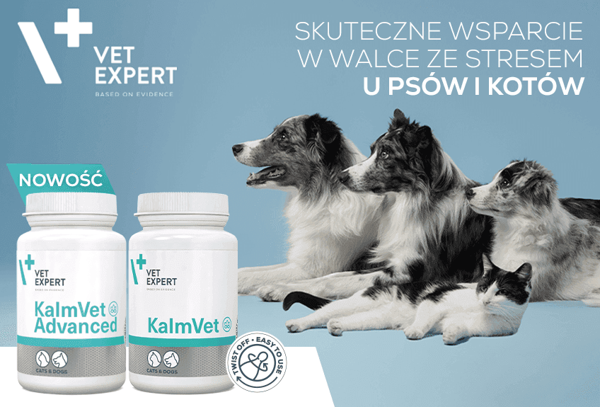 848x575_Psy_VE_KalmVet.png