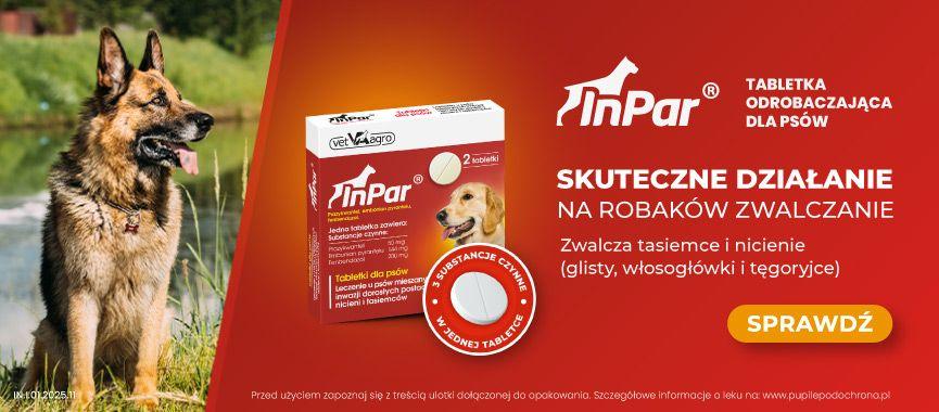 Baner-Inpar-865x380.jpg