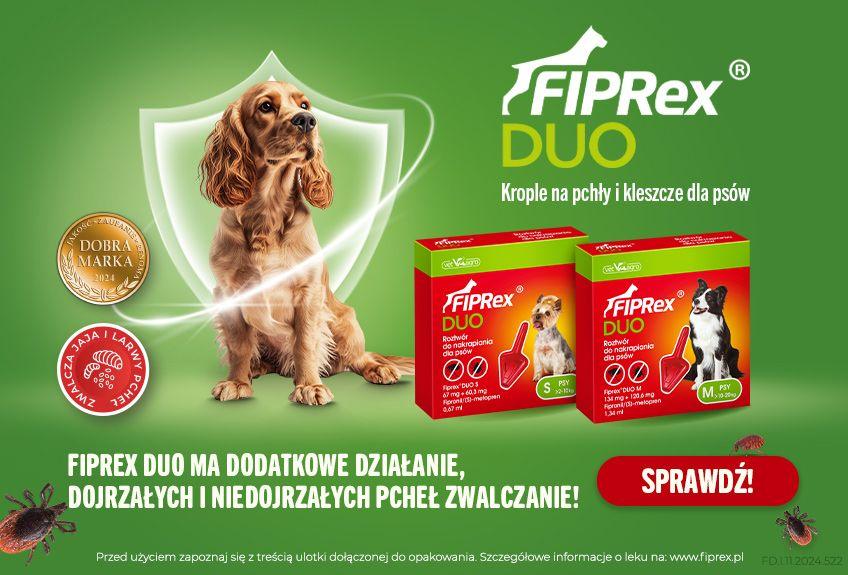 fakty i mity o pchłach u psa